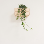 thumbnail-weekly-post1